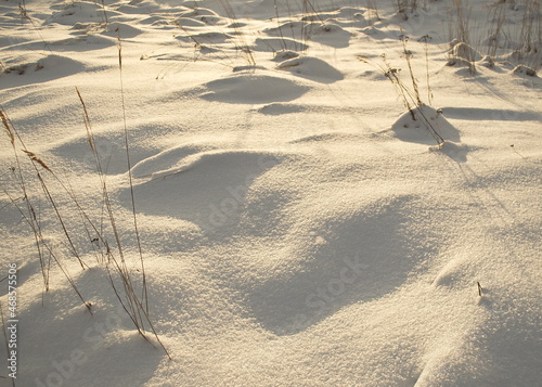 A snowy meadow on a sunny winter day with some grass spikes and hills. photo