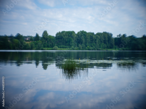 country forest lake in summer with deep blue water with reflections