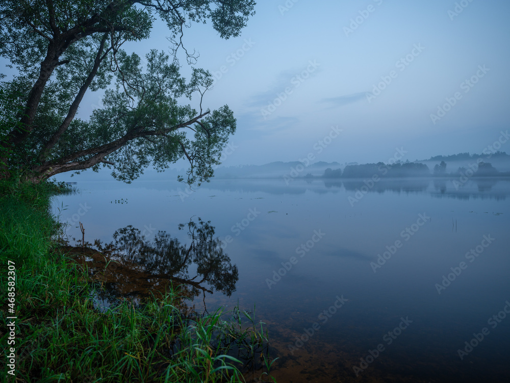 misty morning by the lake with calm water, fog and reflections of trees in mirror misty morning by the lake with calm water, fog and reflections of trees in mirror