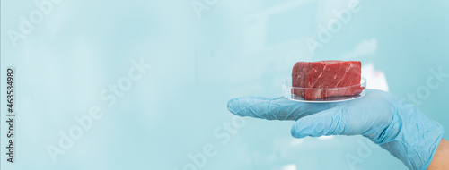 Canvastavla Lab grown meat concept - meat in petri dish