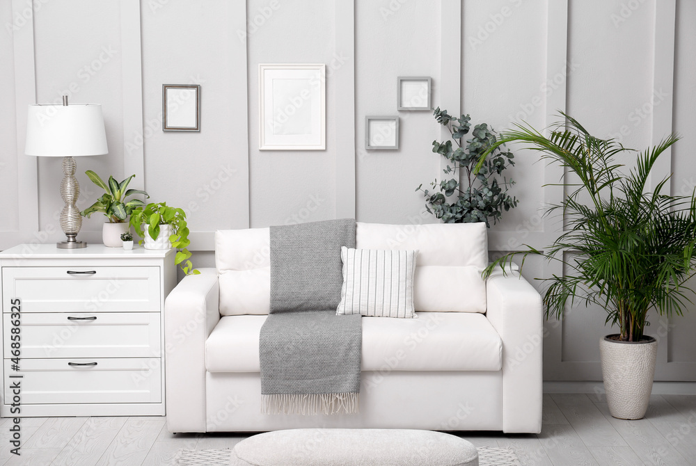 Living room interior with white furniture, stylish accessories and houseplants