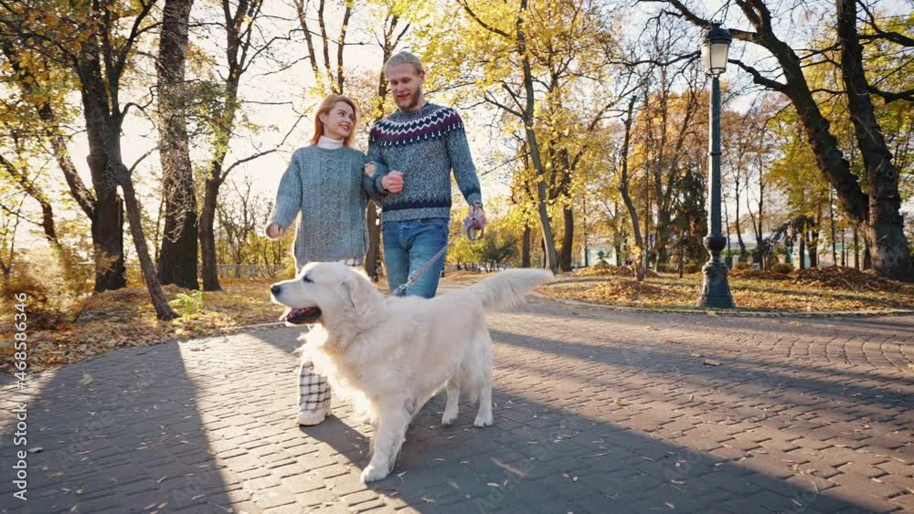 Happy young loving man and woman walking with labrador dog in autumn urban park, enjoying sunny weekends outdoor Happy young loving man and woman walking with labrador dog in autumn urban park, enjoying sunny weekends outdoor