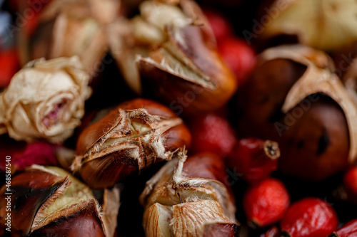 Close-up of chestnuts and red dry rose hips. Roasted delicious fresh chestnuts. Shallow depth of field. Top view.