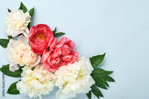 Beautiful red  pink and white peony flowers bouquet over blue background  top view  copy space  flat-lay. Valentines  Wedding and Mothers day background.