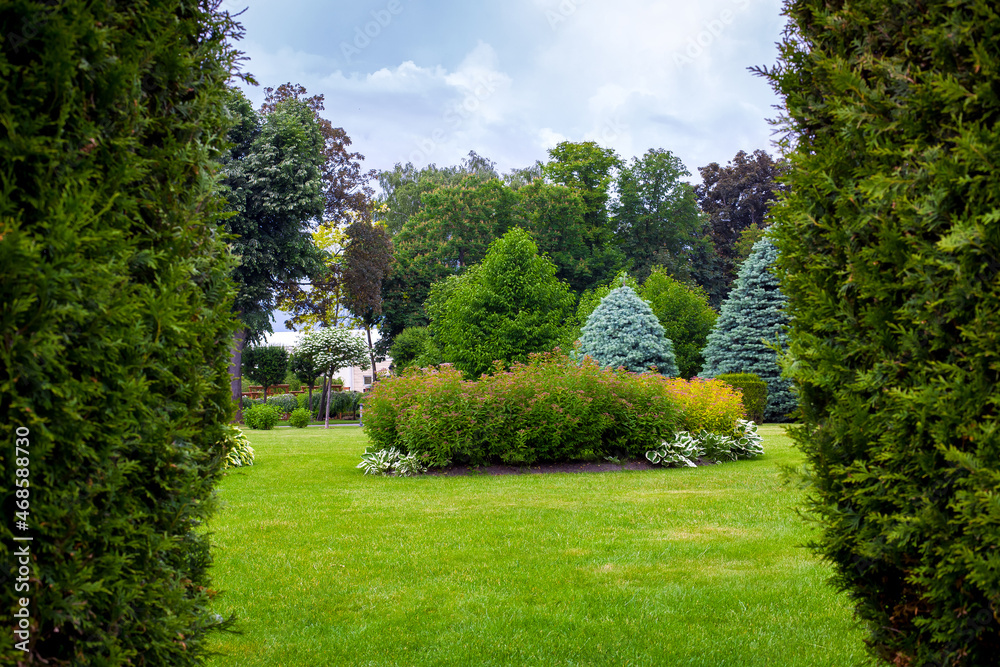 Naklejka premium landscape desing of a park with a garden bed and trees with leaves and pine needles on a green lawn, evergreen and seasonal plants in the backyard look through thuja border.