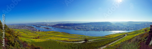 Rhine River delta panorama with farmland and settlements