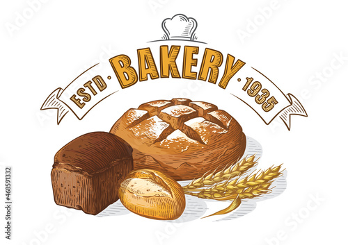 Bread vector colorful hand drawn set illustration. Other types of wheat, flour fresh bread. Gluten food bakery engraved collection