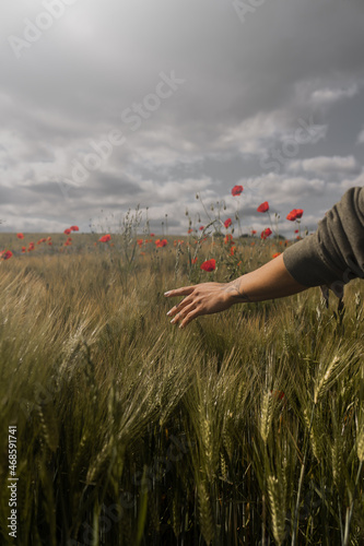 Landwirtschaft. Frau mit einer Hand in der Ernte. 