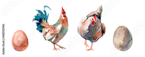 Fotografie, Tablou watercolor Chicken family with eggs on white background