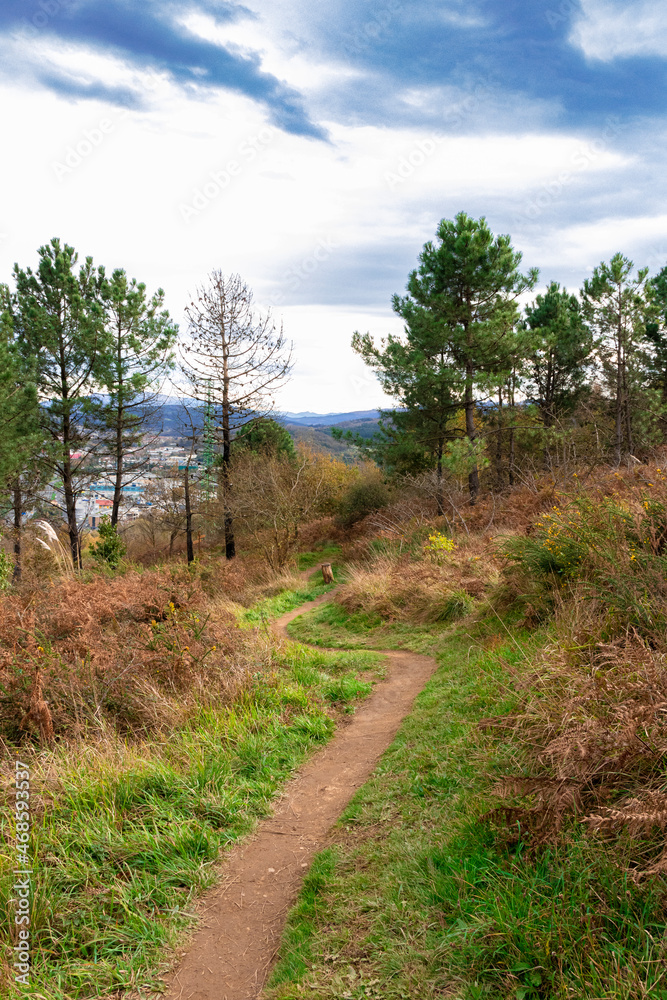trail in the bush in the mountains of the Basque country trail in the bush in the mountains of the Basque country