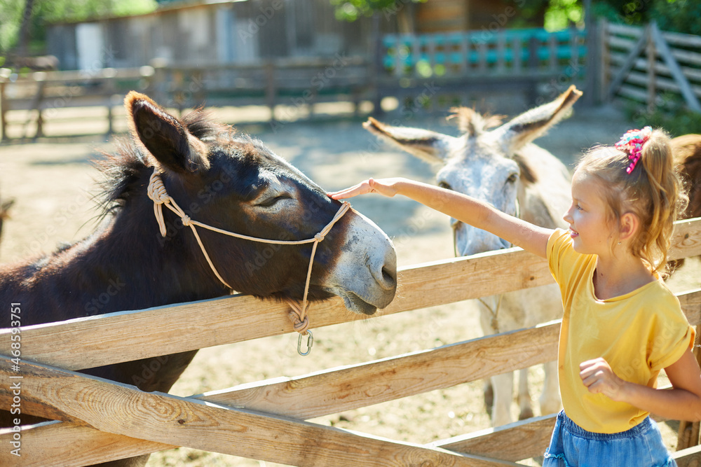 Little girl in contact farm zoo with donkeys in the countryside, a farm ...