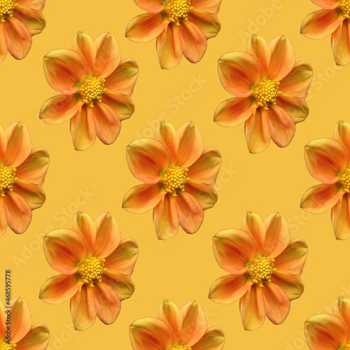 Orange dahlia flower seamless pattern. Fiery orange dahlia flower. 