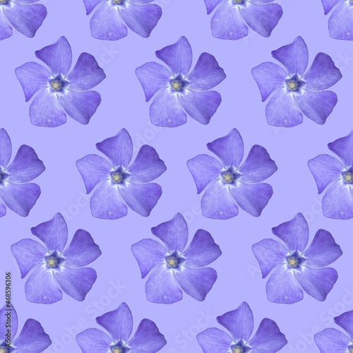 Blue periwinkle flower seamless pattern. Blue periwinkle flower. 