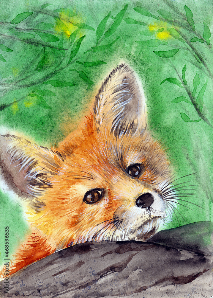Watercolor Illustration Of A Cute Fluffy Red Baby Fox Lying On A Stone Against A Background Of Green Leaves Stock Illustration Adobe Stock