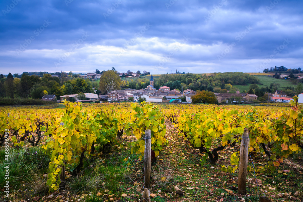 Village of Beaujolais and vineyards during fall season