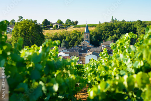 Saint Julien village and raod in Beaujolais land, France photo