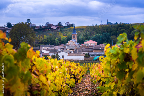 Foto Village of Beaujolais and vineyards during fall season