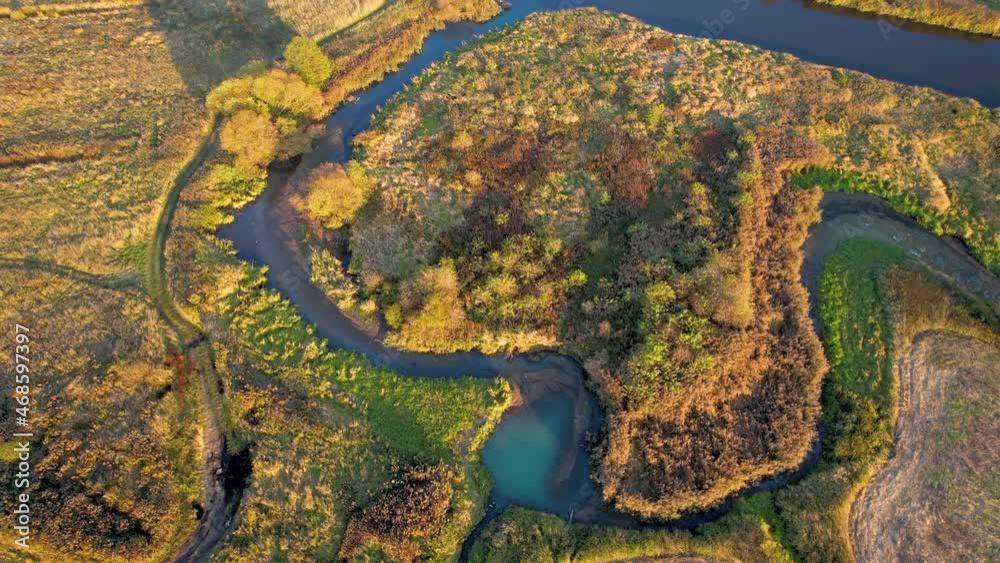 Aerial view of the river in the wild during the fall season. Trees with yellow leaves at sunset on a small winding river. Autumn in the wild on the background of the forest and the river.