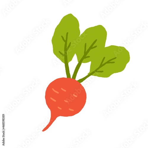 Sugar table beet root with leaf. Fresh beetroot with leaves. Raw healthy vege...