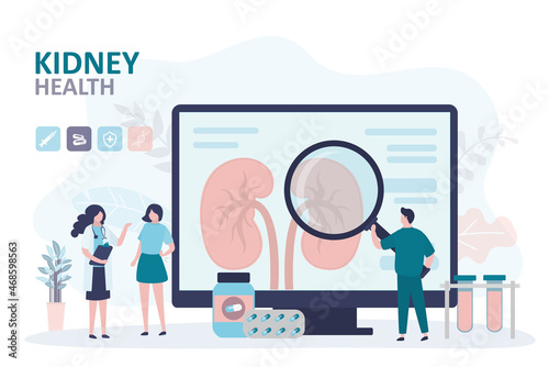 Doctor consults patient about kidney pain. Nephrologist with instrument examines internal organ on screen