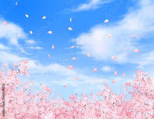 美しく華やかな桜の花と花びら舞い散る春の爽やか青空に雲のフレーム背景ベクター素材イラスト