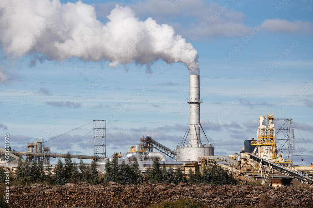 Industrial wood Factory with pipe emitting smoke and stacked logs. FINSA factory, Santiago de Compostela, Spain Industrial wood Factory with pipe emitting smoke and stacked logs. FINSA factory, Santiago de Compostela, Spain