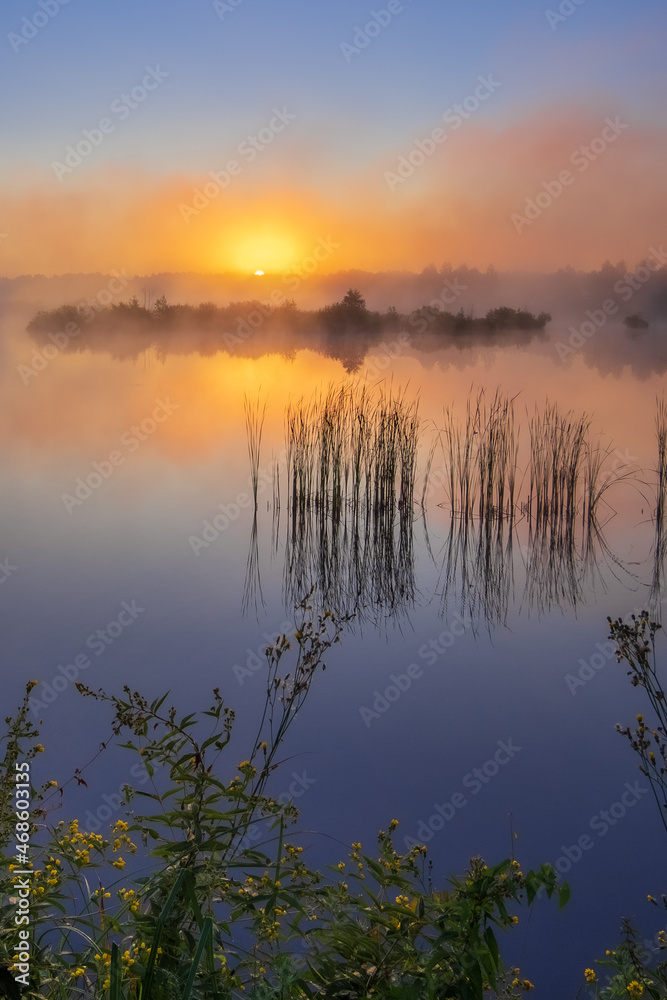 Obraz premium Foggy sunrise on the lake