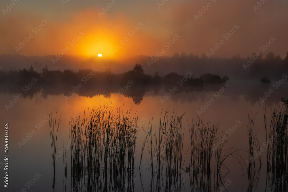 Awesome summer sunrise on the lake