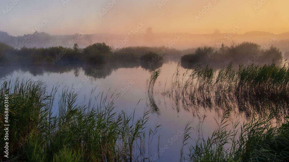 morning mist over the lake in village