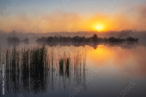 Misty morning on the lake © Александр Арендарь