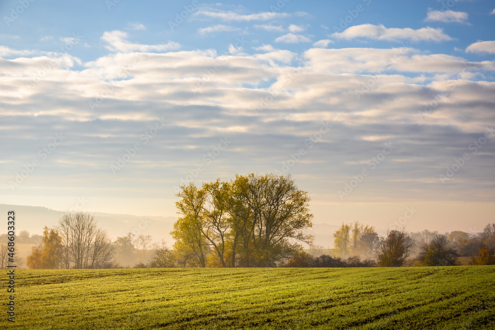 Obraz premium Foggy sunny morning in autumn landscape under blue sky