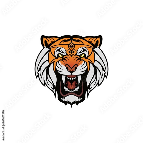 Tiger anger. Vector illustration of a tiger head on a white background