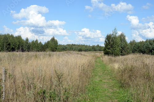 Summer landscape on the outskirts of the village of Zaozerye, Yaroslavl region