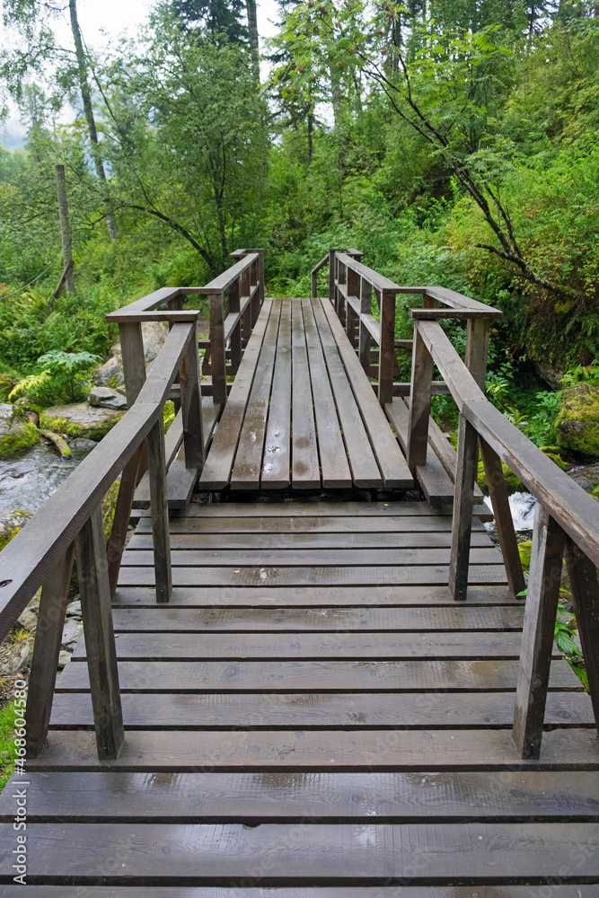 Wooden bridge in a rainy forest, after the rain between tall green trees Wooden bridge in a rainy forest, after the rain between tall green trees