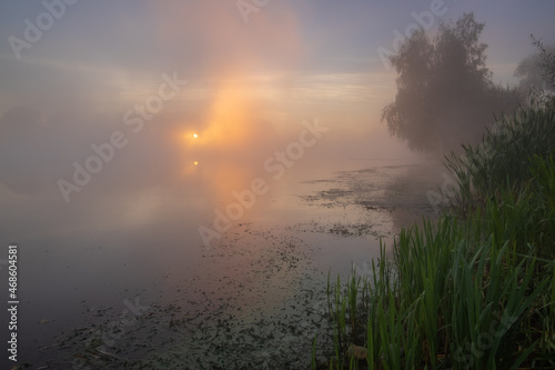 morning mist over the river