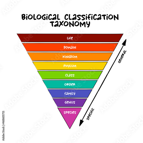 Biological classification taxonomy rank - relative level of a group of organisms (a taxon) in a taxonomic hierarchy, education concept for presentations and reports