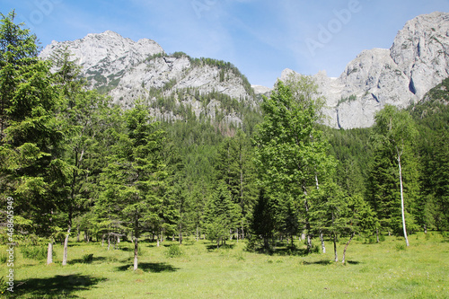 A path through Berchtesgaden National park from Ramsau to Weissbach bei Lofer photo