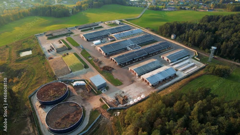 Farm building with cows and pigs in the village, aerial view. Cowshed ...