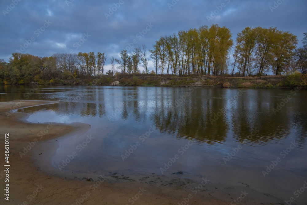 the river in the forest