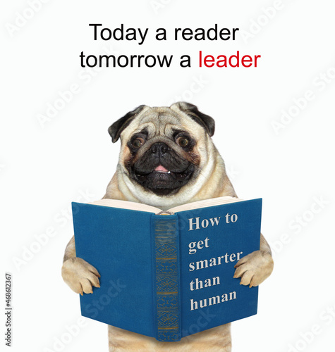 A dog pug reads a blue book called How to get smarter than human. White background. Isolated. © iridi66