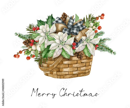 White poinsettia flower in the basket with buffalo plaid bow, pine cone, firry, holly leaves and red berries. Watercolor illustration.Christmas winter holiday bouquet isolated on the white background photo