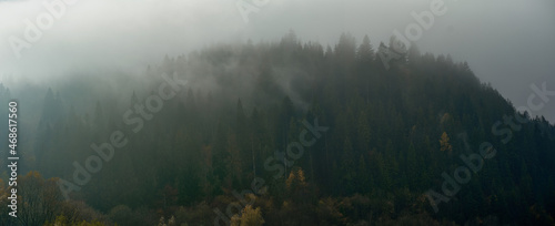 Misty foggy landscape with dark forest on mountain among low clouds. Gloomy atmospheric scenery with coniferous trees in mysterious dense fog © vitaliymateha