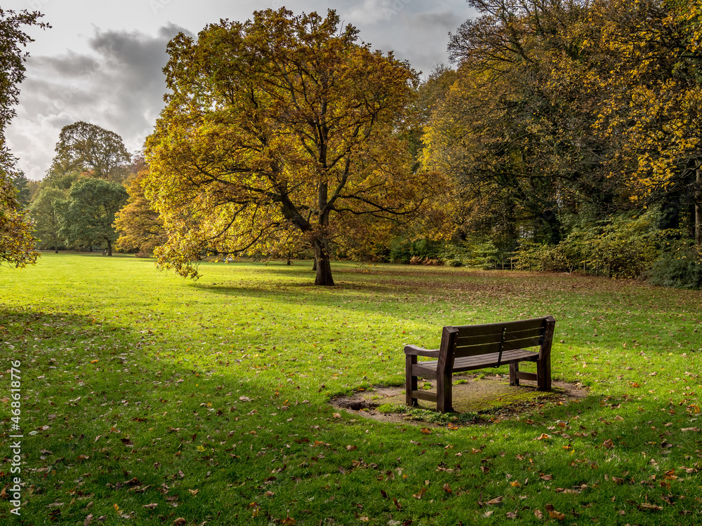 bench in the park with autumn sunshine