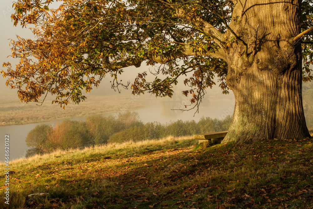Fototapeta premium West Sussex park, 