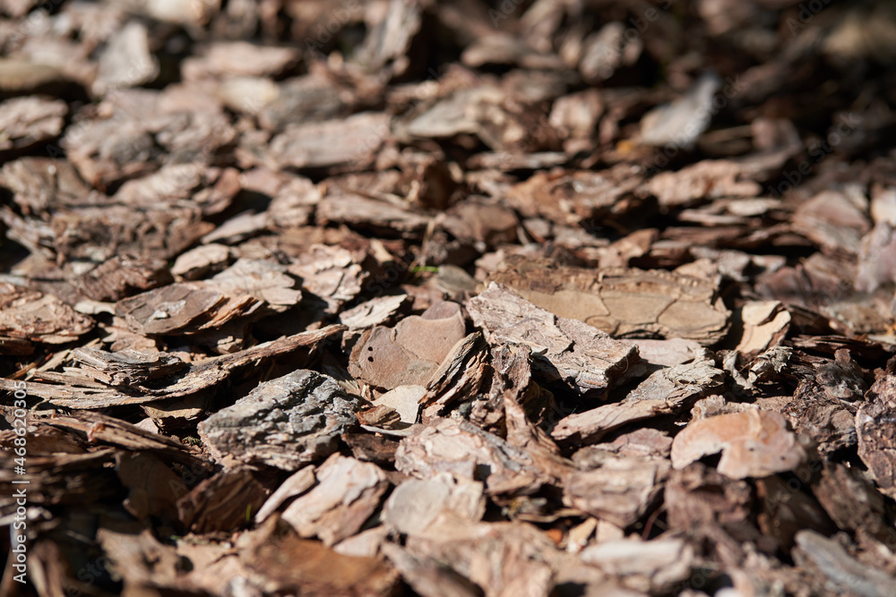 Clean, fresh, pine bark mulch beautifully illuminated by the sun. High quality photo