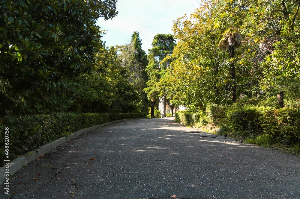 The capital of showing the clean streets trees water and buildings