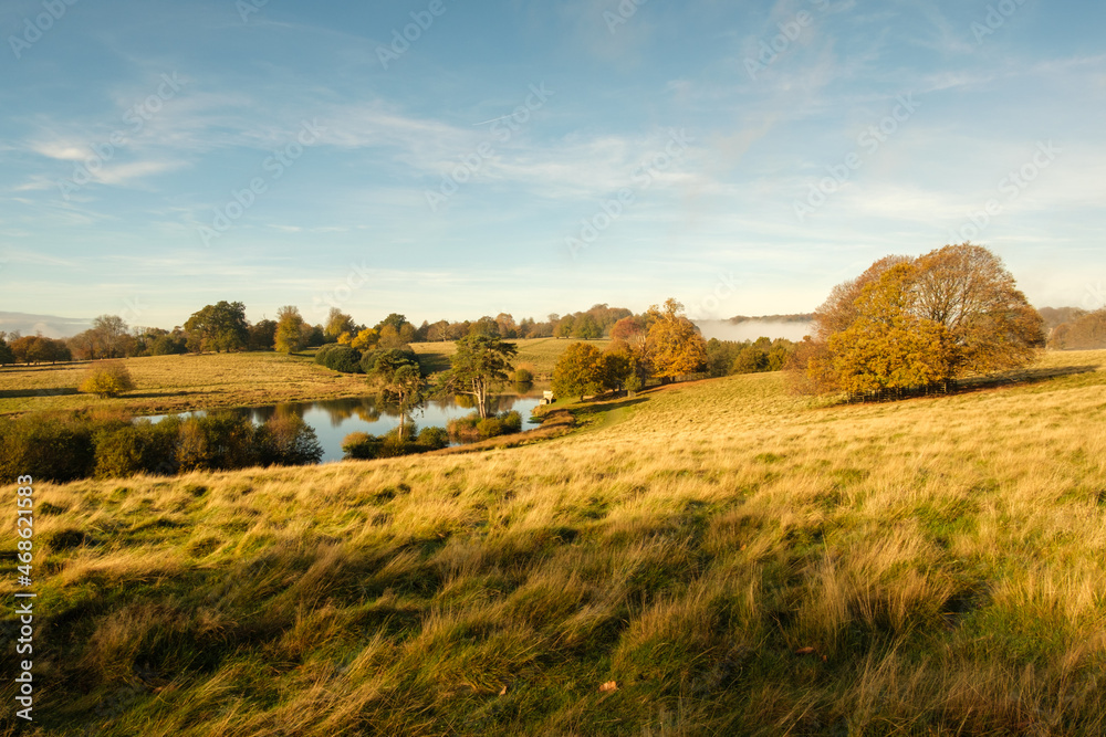 Fototapeta premium Autumn colours at Petworth park, West Sussex