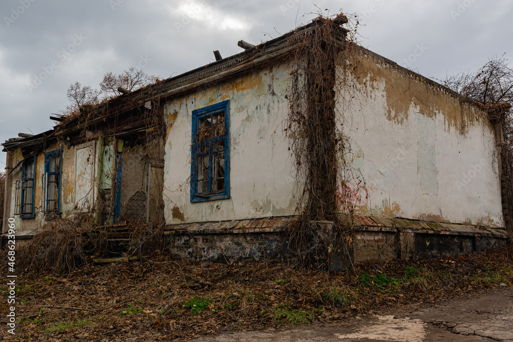 An old crumbling servants' house, in an abandoned noble estate. A white old house, almost destroyed, overgrown with grass and grapes. An ordinary crumbling building, in an unusual place in Russia. An old crumbling servants' house, in an abandoned noble estate. A white old house, almost destroyed, overgrown with grass and grapes. An ordinary crumbling building, in an unusual place in Russia.