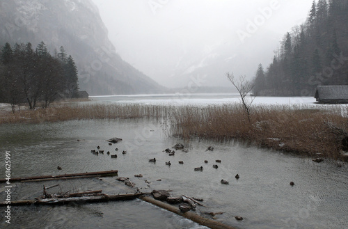 der Leopoldsteinersee im Winter  photo