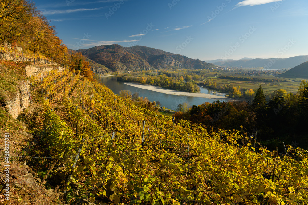 Vineyards near Weissenkirchen on a sunny day in autumn